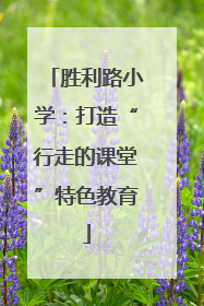 胜利路小学：打造“行走的课堂”特色教育