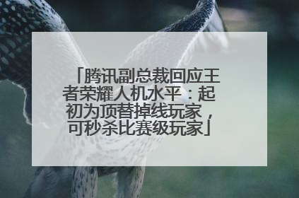 腾讯副总裁回应王者荣耀人机水平：起初为顶替掉线玩家，可秒杀比赛级玩家