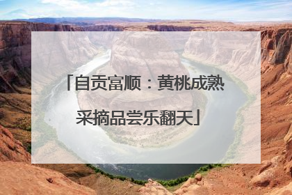 自贡富顺：黄桃成熟 采摘品尝乐翻天