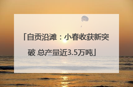 自贡沿滩：小春收获新突破 总产量近3.5万吨