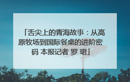 舌尖上的青海故事：从高原牧场到国际餐桌的进阶密码 本报记者 罗 珺