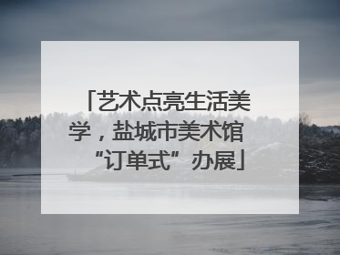 艺术点亮生活美学，盐城市美术馆“订单式”办展
