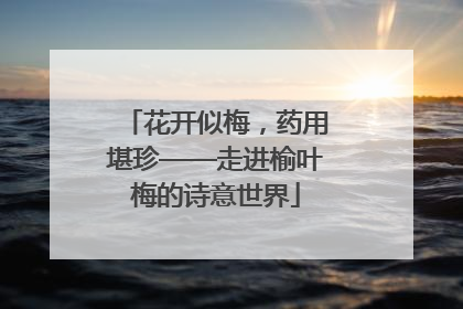 花开似梅，药用堪珍——走进榆叶梅的诗意世界