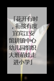 花开有时，衔接有度 宜宾江安留耕镇中心幼儿园组织大班萌娃走进小学