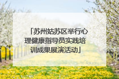苏州姑苏区举行心理健康指导员实践培训成果展演活动