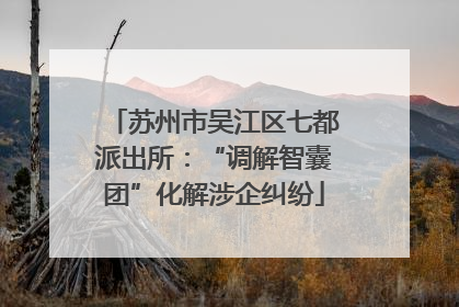 苏州市吴江区七都派出所：“调解智囊团”化解涉企纠纷