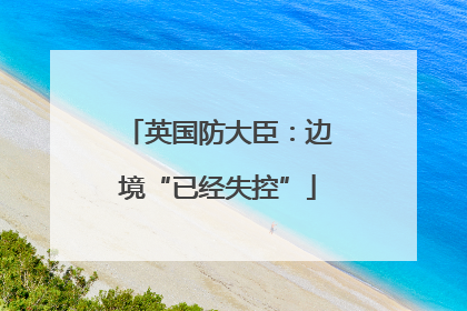 英国防大臣：边境“已经失控”