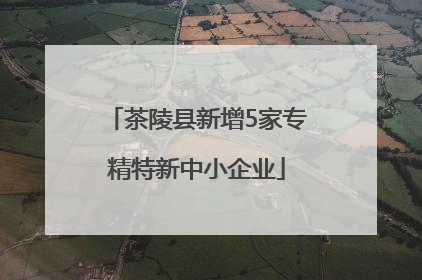 茶陵县新增5家专精特新中小企业