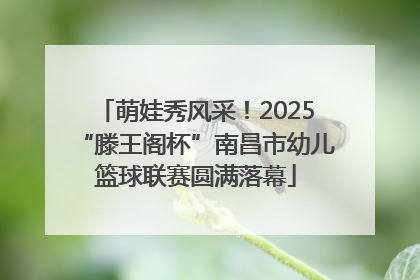 萌娃秀风采！2025“滕王阁杯”南昌市幼儿篮球联赛圆满落幕