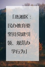 蒸湘区：民办教育要坚持党建引领、规范办学行为