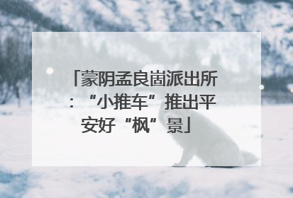 蒙阴孟良崮派出所：“小推车”推出平安好“枫”景
