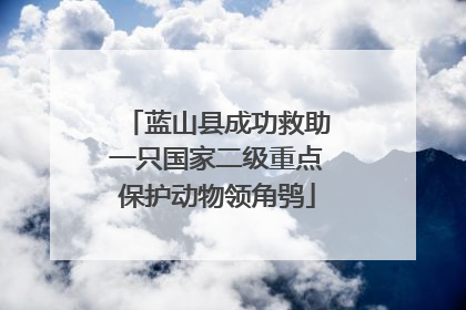 蓝山县成功救助一只国家二级重点保护动物领角鸮