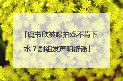虞书欣被曝拍戏不肯下水？剧组发声明辟谣