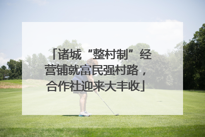 诸城“整村制”经营铺就富民强村路，合作社迎来大丰收