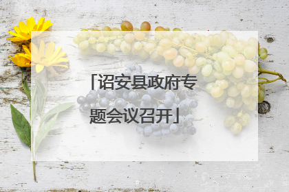 诏安县政府专题会议召开