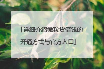 详细介绍微粒贷借钱的开通方式与官方入口