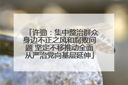 许勤：集中整治群众身边不正之风和腐败问题 坚定不移推动全面从严治党向基层延伸