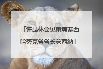 许昆林会见柬埔寨西哈努克省省长蒙西纳