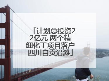 计划总投资22亿元 两个精细化工项目落户四川自贡沿滩