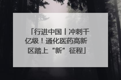 行进中国丨冲刺千亿级！通化医药高新区踏上“新”征程