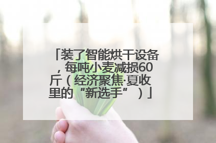 装了智能烘干设备，每吨小麦减损60斤（经济聚焦·夏收里的“新选手”）