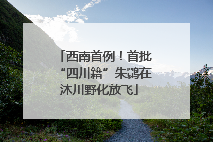 西南首例！首批“四川籍”朱鹮在沐川野化放飞