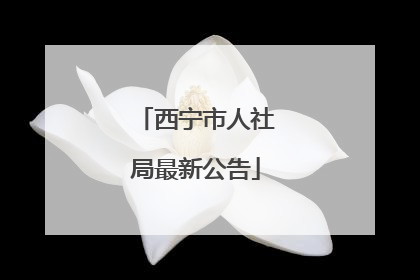 西宁市人社局最新公告