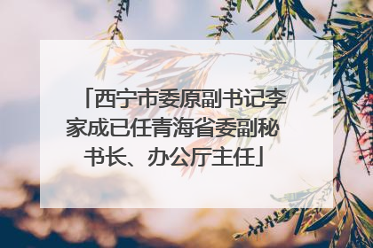 西宁市委原副书记李家成已任青海省委副秘书长、办公厅主任