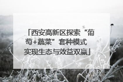 西安高新区探索“葡萄+蔬菜”套种模式 实现生态与效益双赢