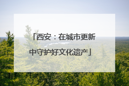 西安：在城市更新中守护好文化遗产