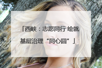 西峡：志愿同行 绘就基层治理“同心圆”