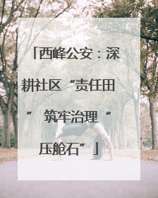 西峰公安：深耕社区“责任田” 筑牢治理“压舱石”