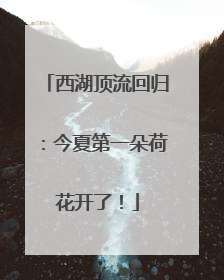 西湖顶流回归：今夏第一朵荷花开了！