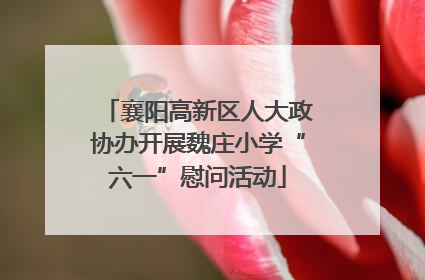 襄阳高新区人大政协办开展魏庄小学“六一”慰问活动