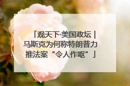 观天下·美国政坛｜马斯克为何称特朗普力推法案“令人作呕”