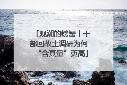 观潮的螃蟹丨干部回故土调研为何“含真量”更高