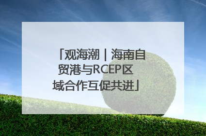 观海潮｜海南自贸港与RCEP区域合作互促共进