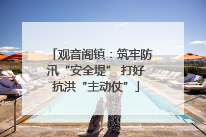 观音阁镇：筑牢防汛“安全堤” 打好抗洪“主动仗”