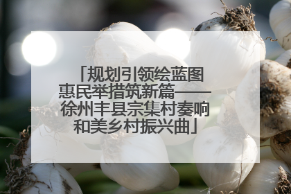 规划引领绘蓝图 惠民举措筑新篇——徐州丰县宗集村奏响和美乡村振兴曲