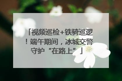 视频巡检+铁骑巡逻！端午期间，冰城交警守护“在路上”
