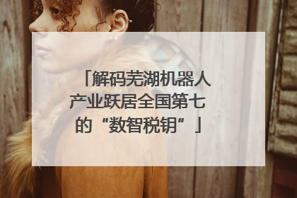 解码芜湖机器人产业跃居全国第七的“数智税钥”