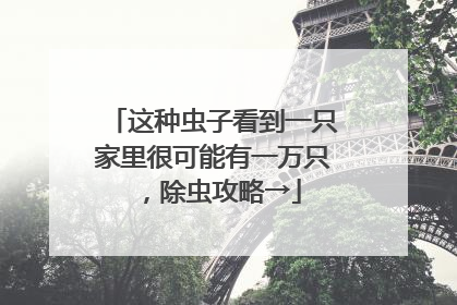 这种虫子看到一只家里很可能有一万只，除虫攻略→