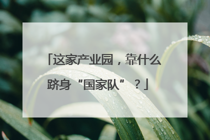 这家产业园，靠什么跻身“国家队”？