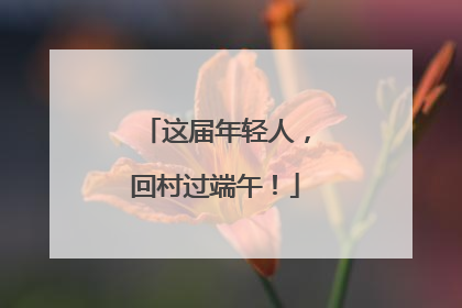 这届年轻人，回村过端午！
