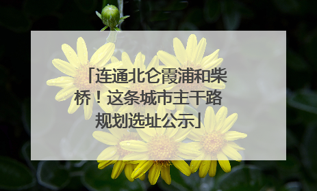 连通北仑霞浦和柴桥！这条城市主干路规划选址公示