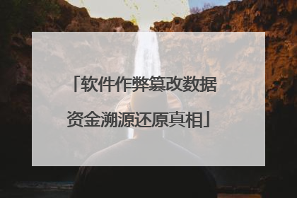 软件作弊篡改数据 资金溯源还原真相