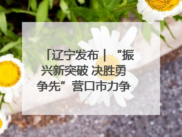辽宁发布｜“振兴新突破 决胜勇争先”营口市力争上半年GDP增长6%左右