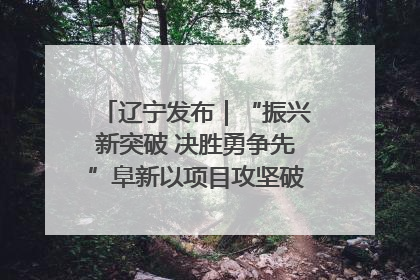 辽宁发布｜“振兴新突破 决胜勇争先”阜新以项目攻坚破解发展瓶颈 经济发展实现良好开局