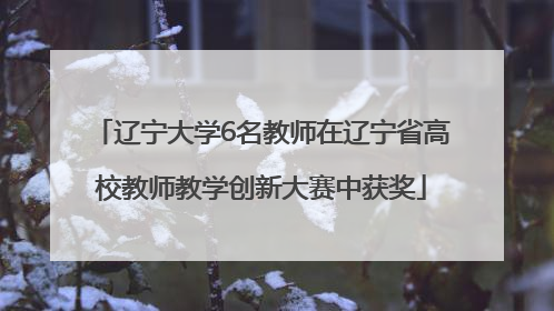 辽宁大学6名教师在辽宁省高校教师教学创新大赛中获奖