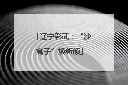 辽宁彰武：“沙窝子”焕新颜